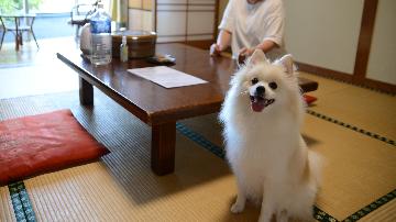 ペットと素泊まり☆最安値6800円より★気軽に日奈久温泉へ！一人旅も歓迎☆